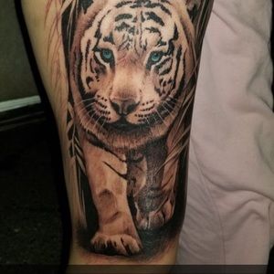 Meet your Posher, Alison